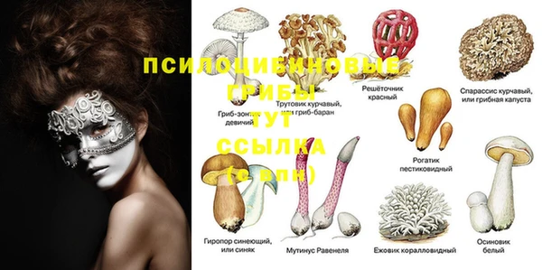 каннабис Кодинск