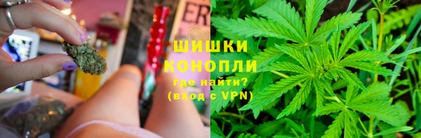 гидропоника Козловка