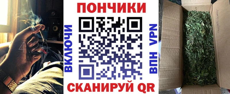 Купить где  Качканар  Шишки марихуана Ganja 